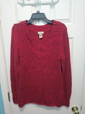 Arizona Jean Company Red Marled V-Neck Sweater